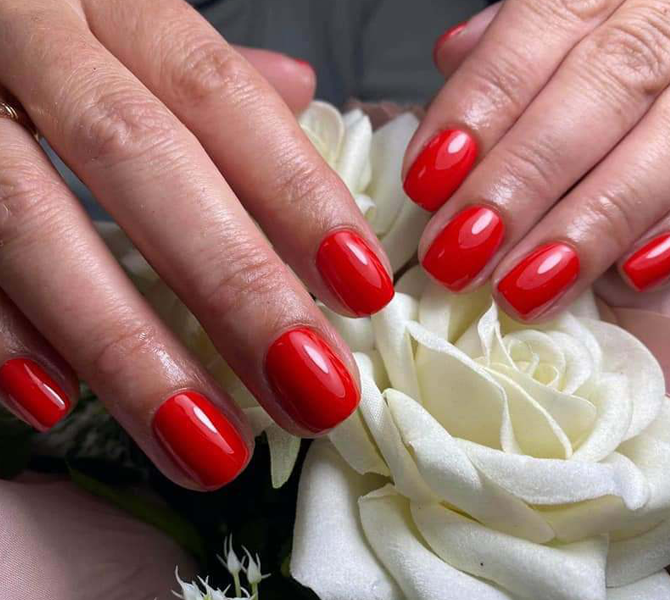 Diana's Beauty Saloon